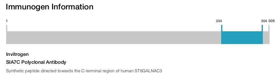 SIA7C Polyclonal Antibody