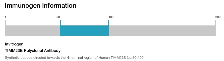 TIMM23B Polyclonal Antibody