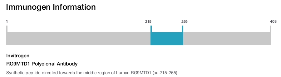 RG9MTD1 Polyclonal Antibody