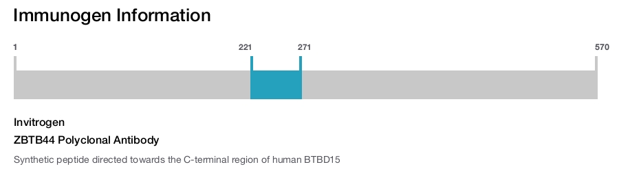 ZBTB44 Polyclonal Antibody