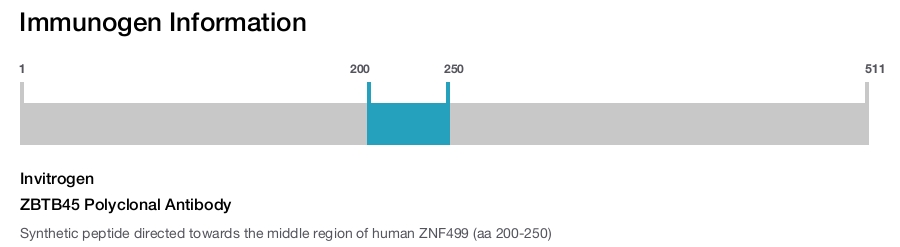 ZBTB45 Polyclonal Antibody