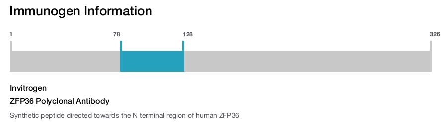 ZFP36 Polyclonal Antibody