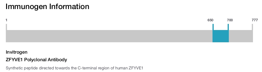ZFYVE1 Polyclonal Antibody