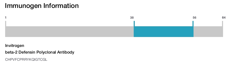 beta-2 Defensin Polyclonal Antibody
