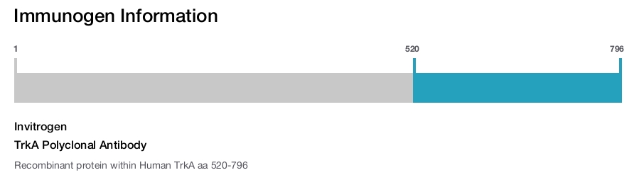 TrkA Polyclonal Antibody