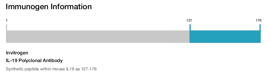 IL-19 Polyclonal Antibody