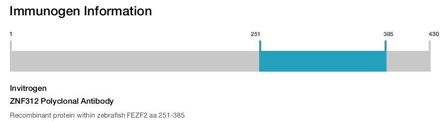ZNF312 Polyclonal Antibody