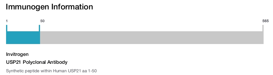 USP21 Polyclonal Antibody