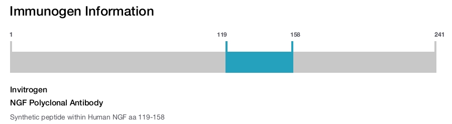 NGF Polyclonal Antibody