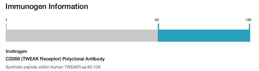 CD266 (TWEAK Receptor) Polyclonal Antibody