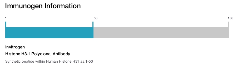 Histone H3.1 Polyclonal Antibody