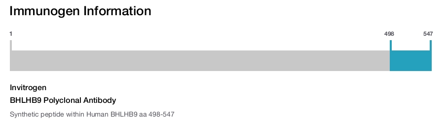 BHLHB9 Polyclonal Antibody