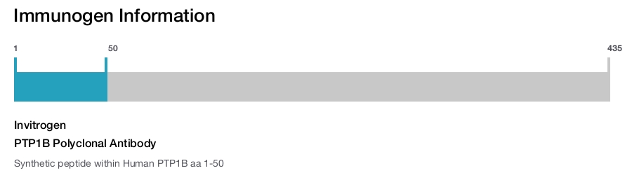 PTP1B Polyclonal Antibody