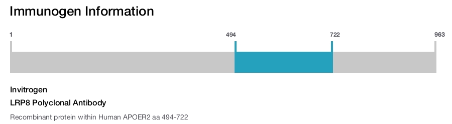 LRP8 Polyclonal Antibody