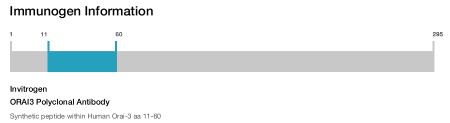 ORAI3 Polyclonal Antibody