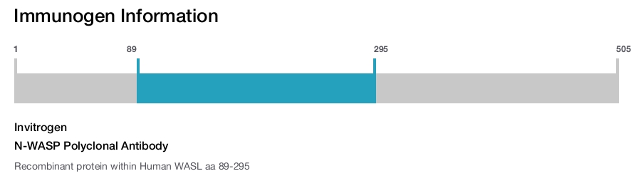 N-WASP Polyclonal Antibody