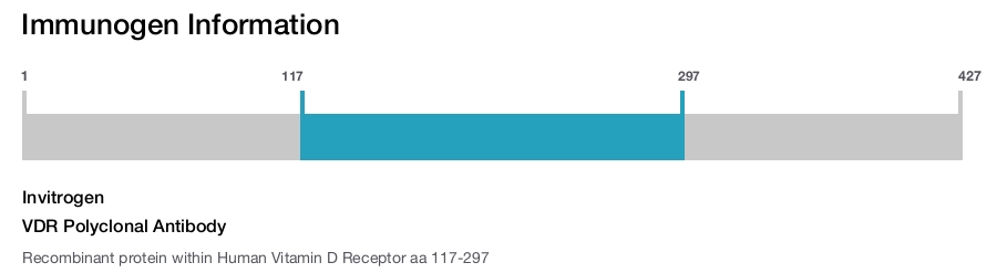 VDR Polyclonal Antibody