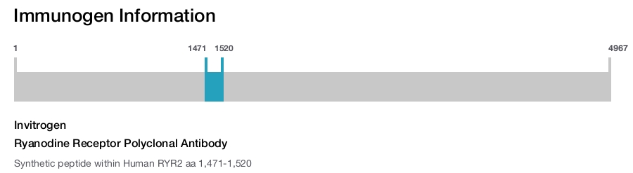 Ryanodine Receptor Polyclonal Antibody