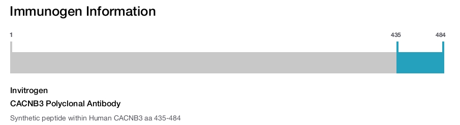 CACNB3 Polyclonal Antibody