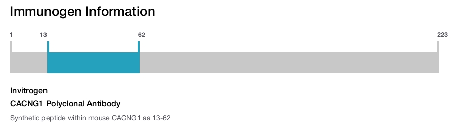 CACNG1 Polyclonal Antibody