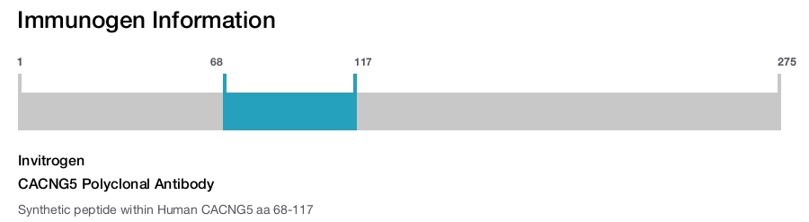 CACNG5 Polyclonal Antibody