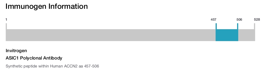 ASIC1 Polyclonal Antibody
