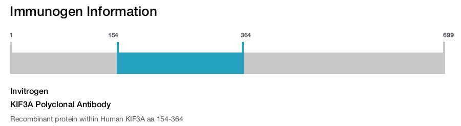KIF3A Polyclonal Antibody