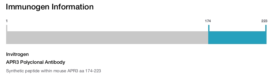 APR3 Polyclonal Antibody