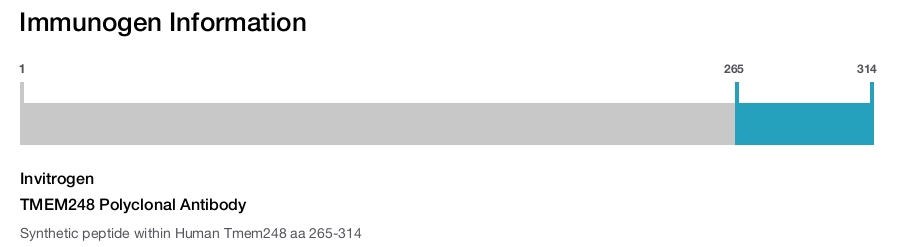 TMEM248 Polyclonal Antibody