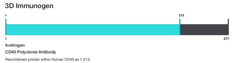CD40 Polyclonal Antibody