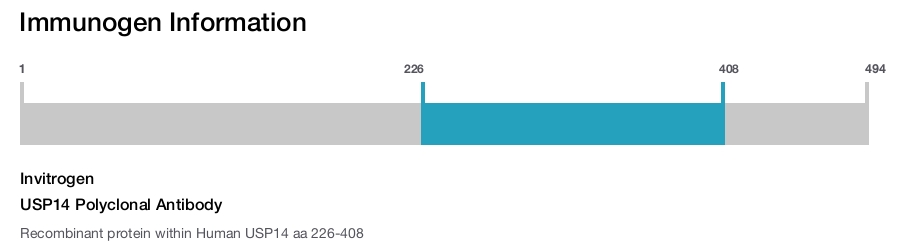 USP14 Polyclonal Antibody