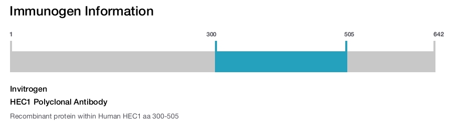 HEC1 Polyclonal Antibody