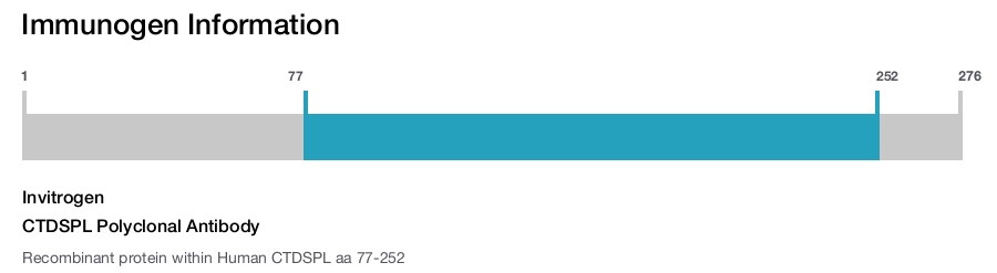 CTDSPL Polyclonal Antibody