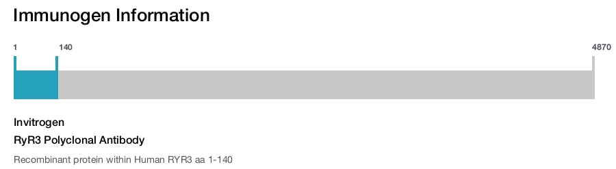 RyR3 Polyclonal Antibody