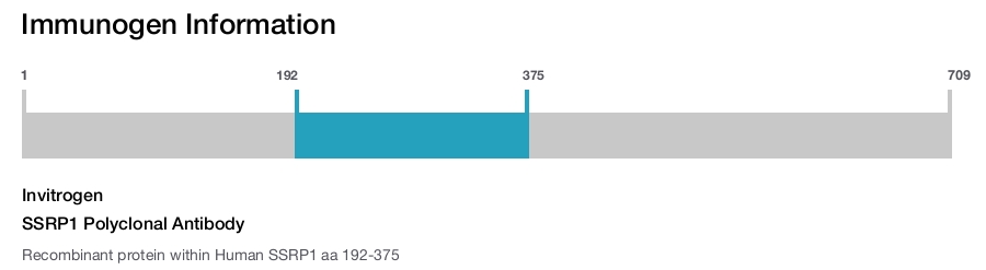SSRP1 Polyclonal Antibody