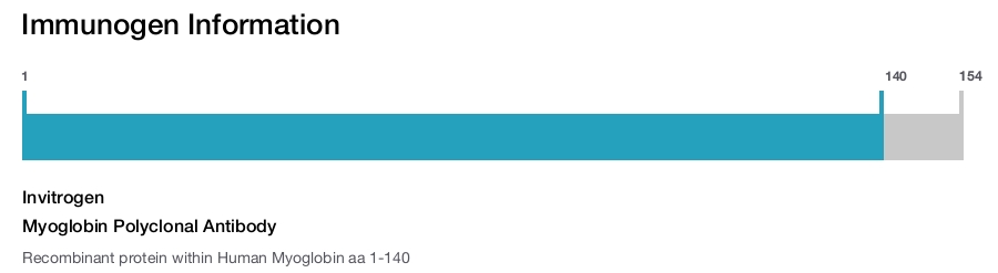 Myoglobin Polyclonal Antibody