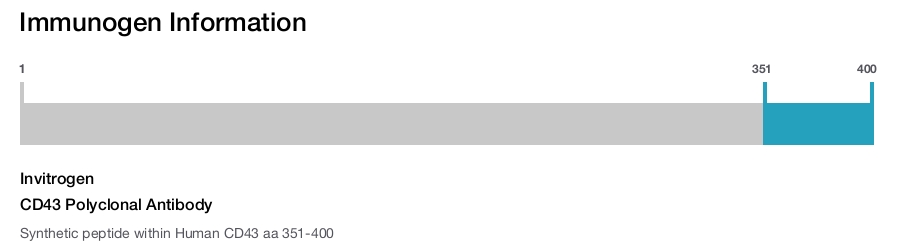 CD43 Polyclonal Antibody
