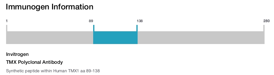 TMX Polyclonal Antibody