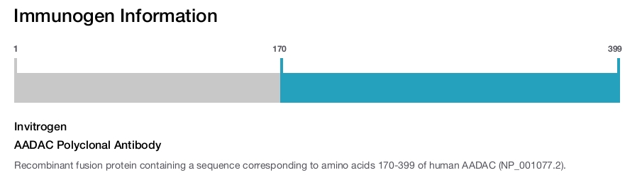 AADAC Polyclonal Antibody