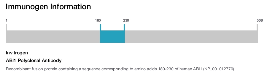 ABI1 Polyclonal Antibody