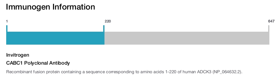 CABC1 Polyclonal Antibody