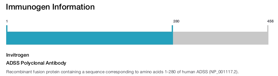ADSS Polyclonal Antibody