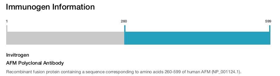 AFM Polyclonal Antibody