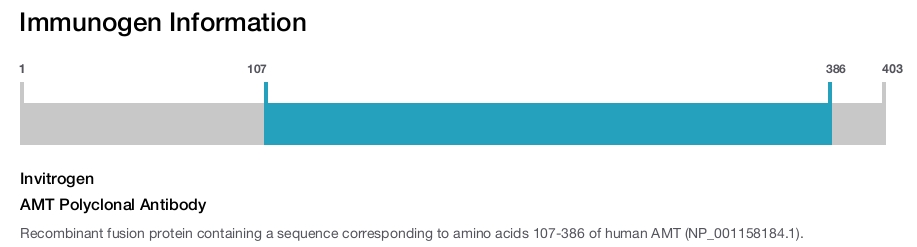 AMT Polyclonal Antibody