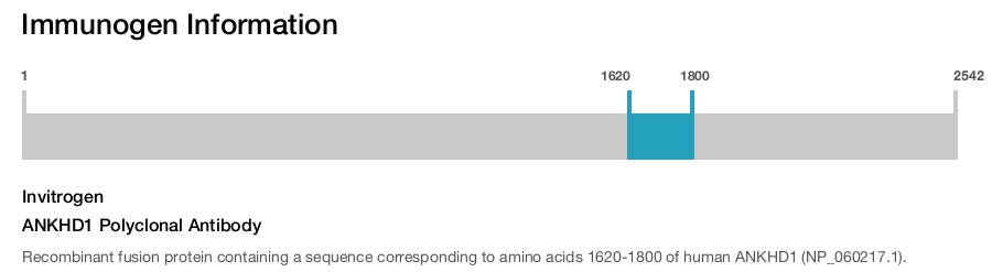 ANKHD1 Polyclonal Antibody