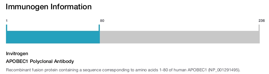 APOBEC1 Polyclonal Antibody