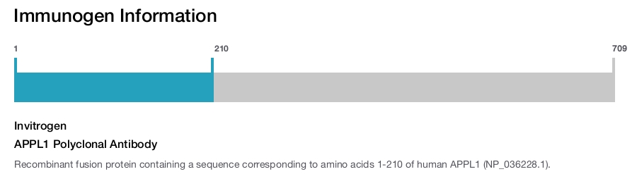 APPL1 Polyclonal Antibody