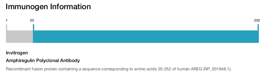 Amphiregulin Polyclonal Antibody