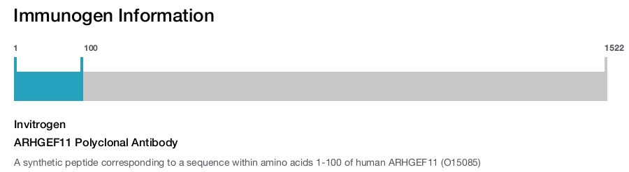 ARHGEF11 Polyclonal Antibody