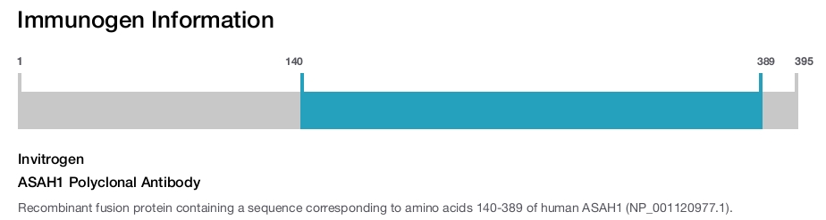 ASAH1 Polyclonal Antibody